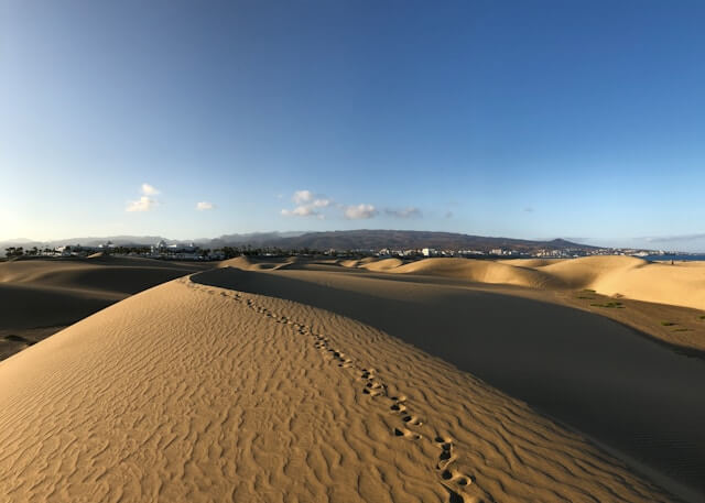 Teneriffa oder Gran Canaria